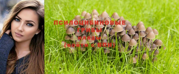 винт Баксан