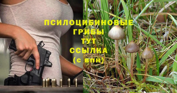 винт Баксан
