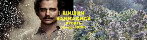 ПСИЛОЦИБИНОВЫЕ ГРИБЫ Балахна