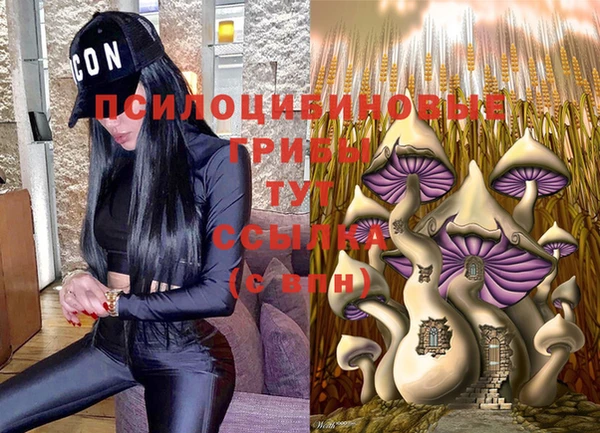прущие крисы Балабаново