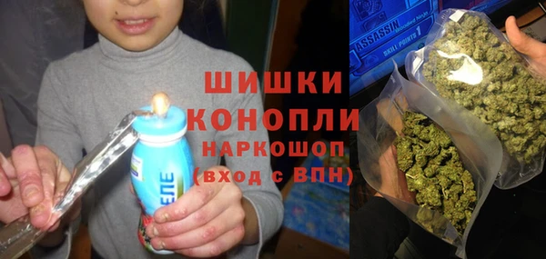 ПСИЛОЦИБИНОВЫЕ ГРИБЫ Балахна