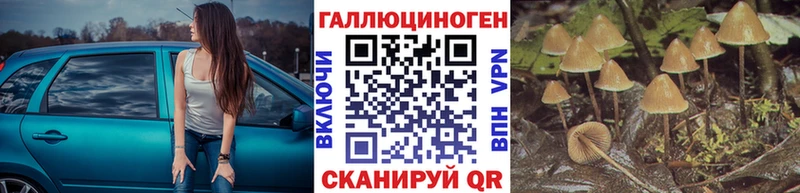 Псилоцибиновые грибы мухоморы  маркетплейс какой сайт  Бородино  купить наркотик  гидра ссылки 